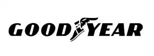 Logo of GoodYear tyres - Available at Saeedi Pro